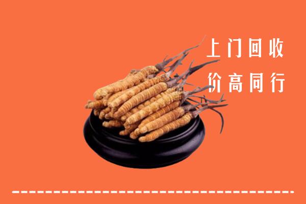 高价求购：松北区回收散虫草
