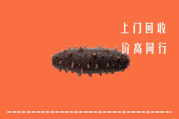 高价求购：松北区回收海参