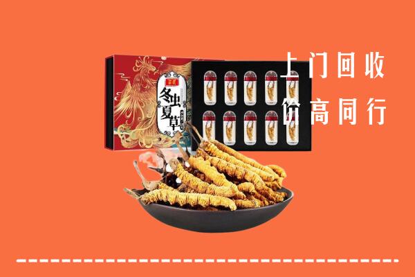 松北区回收虫草